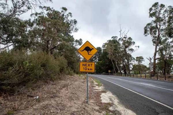 Achtung Känguruhs-Schild am Straßenrand in Victoria