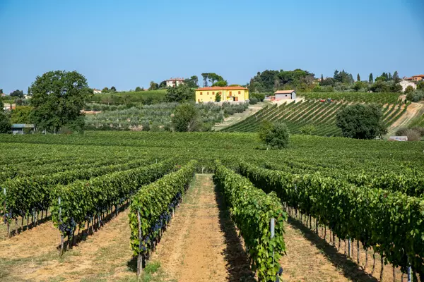 Weingut in der Nähe von Montepulciano in der Toskana