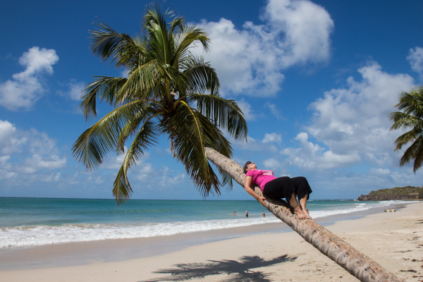 Palme am Strand von Martinique