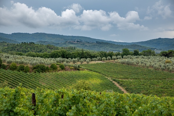 Typische Landschaft im Chianti-Gebiet in der Toskana