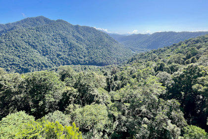 Atherton Tablelands 10