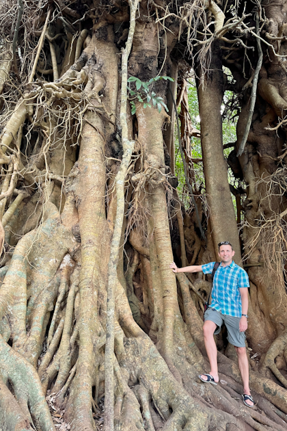Atherton Tablelands 100