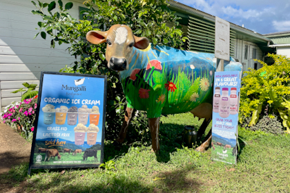 Atherton Tablelands 18