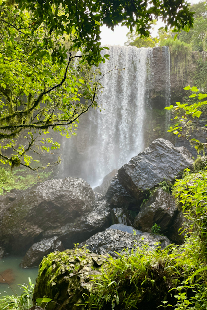 Atherton Tablelands 89