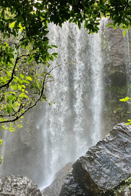 Atherton Tablelands 90