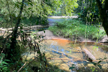 Babinda 35