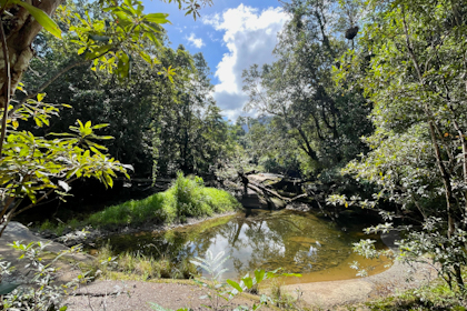 Babinda 38