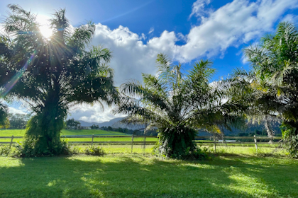 Babinda 45