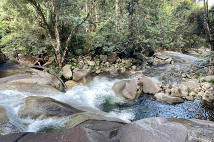 Babinda 50