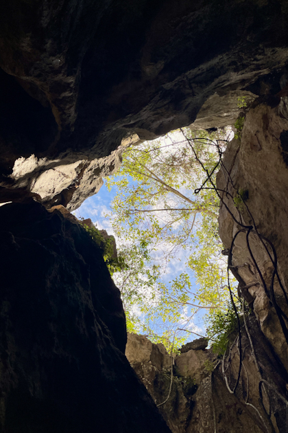 Capricorn Caves und Cape Hillsborough 44
