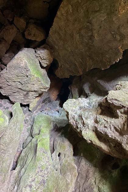 Capricorn Caves und Cape Hillsborough 49