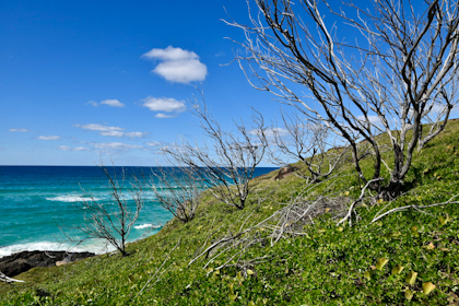 Fraser Island 53