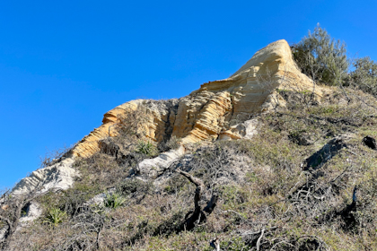 Fraser Island 54