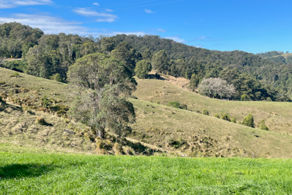 Montville Maleny Kenilworth 18