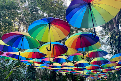 Montville Maleny Kenilworth 26