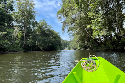 Ulu Temburong Nationalpark 03