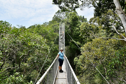 Ulu Temburong Nationalpark 16