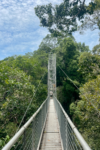 Ulu Temburong Nationalpark 54
