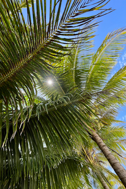Aitutaki 104