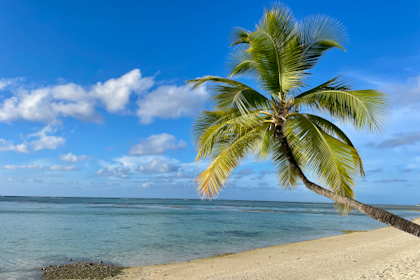 Aitutaki 19