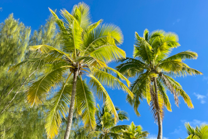 Aitutaki 20
