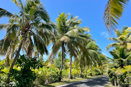 Aitutaki 222