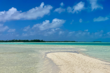 Aitutaki 233
