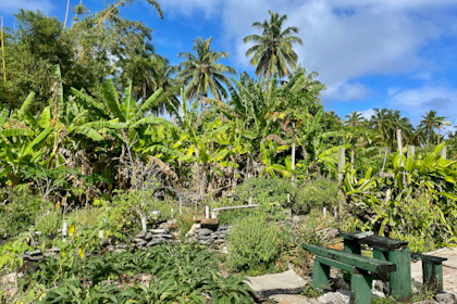 Aitutaki 31