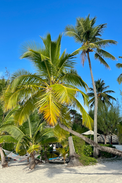 Aitutaki 88