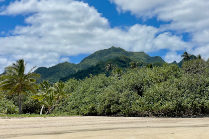 Rarotonga 117