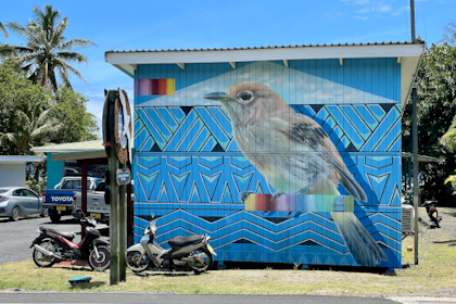 Rarotonga 214