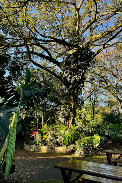 Alajuela 21