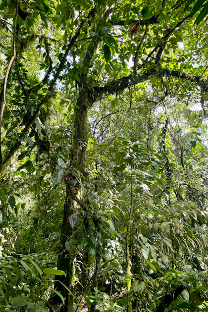 Canyoning und El Silencio 49