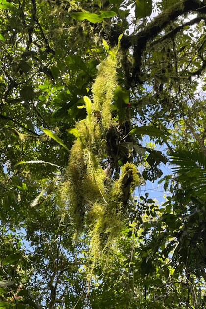 Canyoning und El Silencio 52