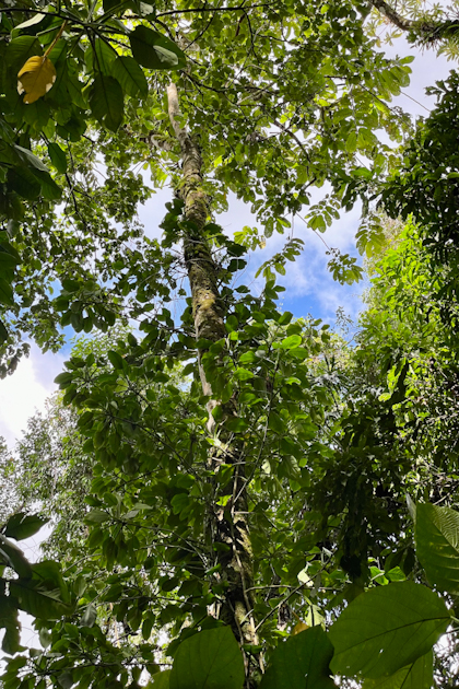 Canyoning und El Silencio 58