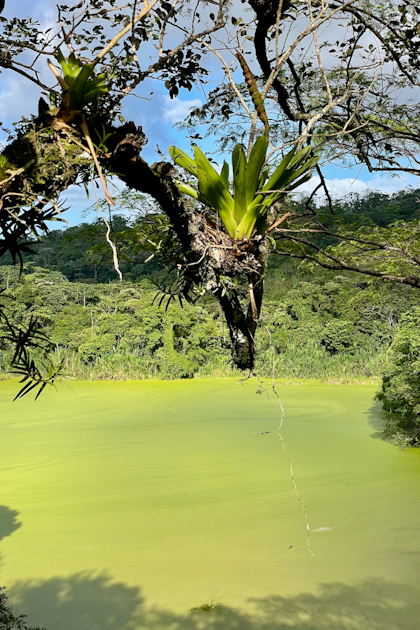 Canyoning und El Silencio 68