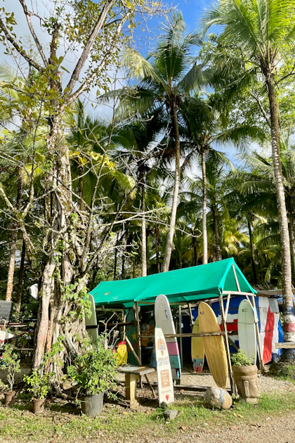 Dominical 59