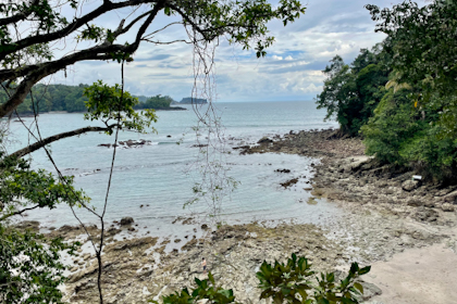 Manuel Antonio 28