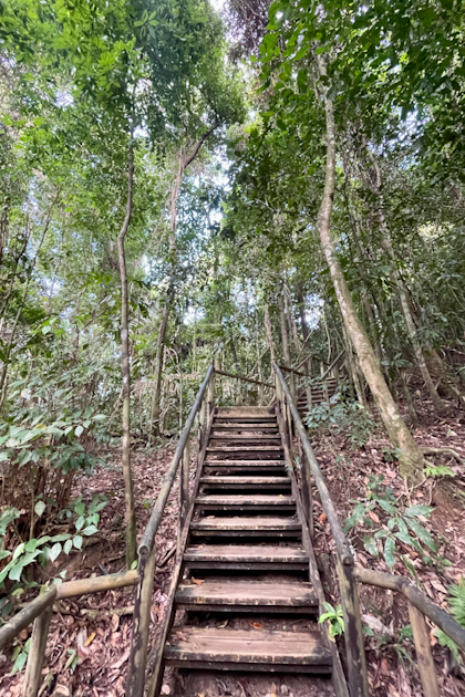 Manuel Antonio 58