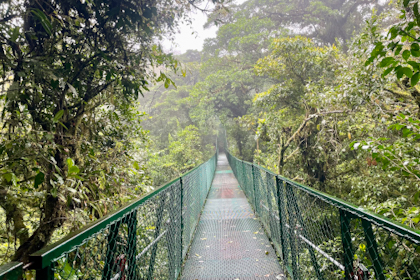 Monteverde 32