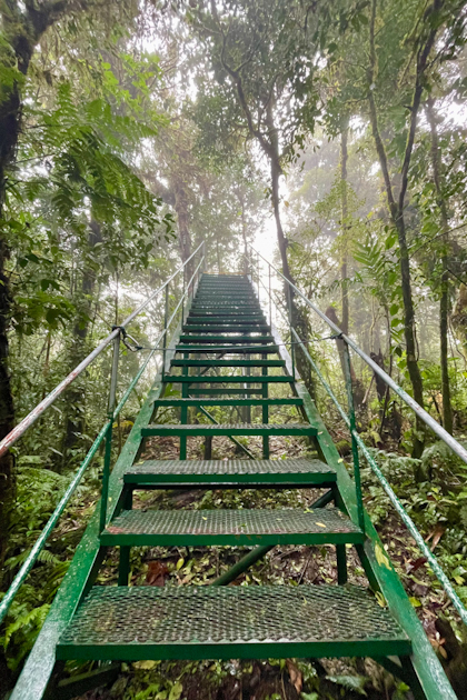 Monteverde 73