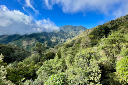 Quetzal Tal 11