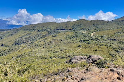 Quetzal Tal 29