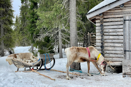 Nordlichter und Schneemobil Tour 09