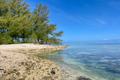 Moorea 124