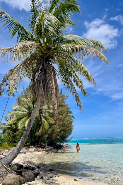 Moorea 212