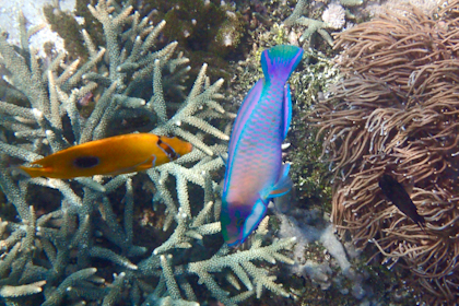 Komodo Nationalpark 168