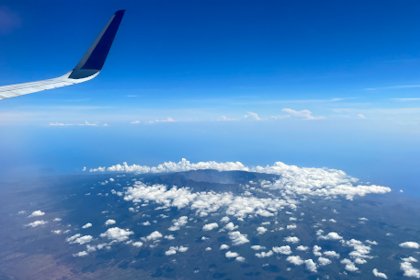 Komodo Nationalpark 209