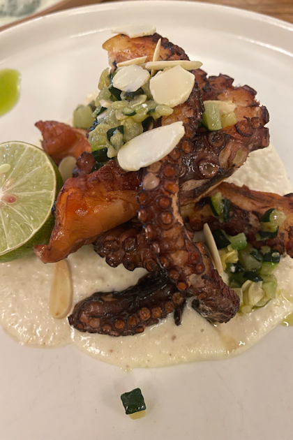 Komodo Nationalpark 252