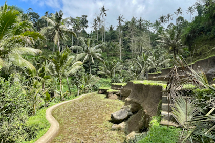 Rund um Ubud 08